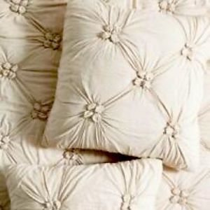 Anthropologie Jacqueline Jersey Euro Shams (2)